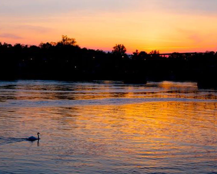 Scenic River Views